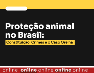 [E2E] Regras 20260808001157b