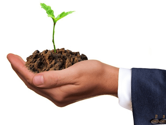 (img)