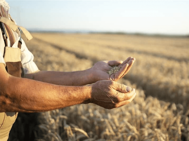 Juiz prorroga stay period de produtora rural por mais 180 dias Juiz prorroga stay period de produtora rural por mais 180 dias