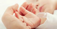 (img)